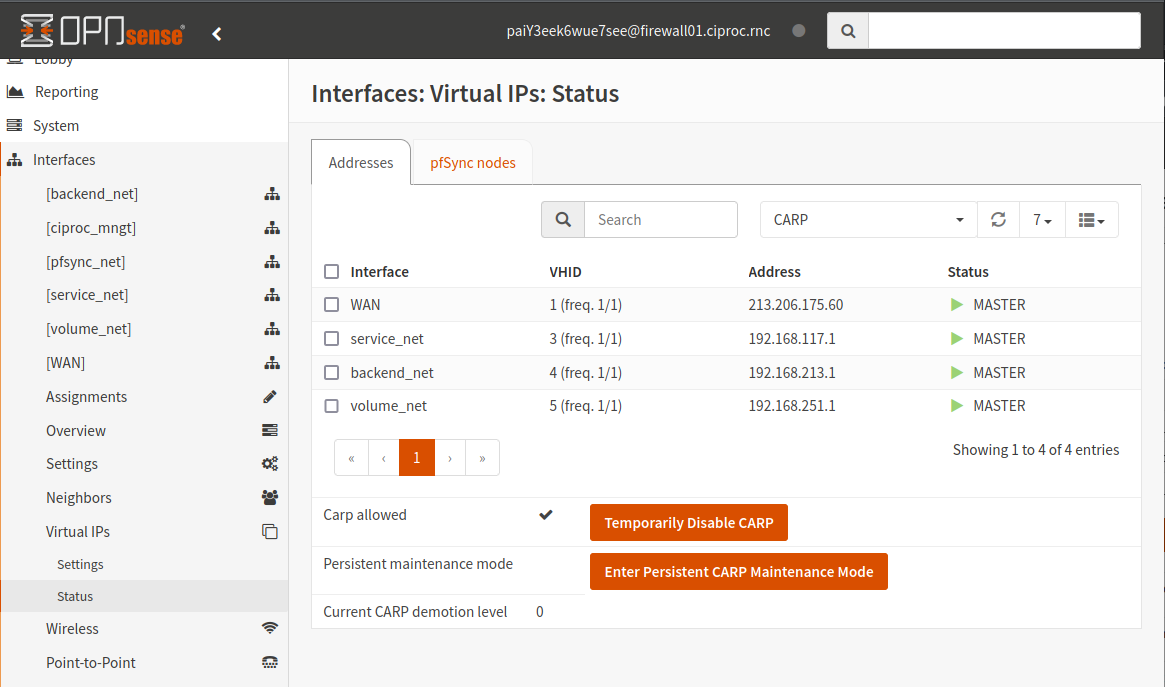 OpnSense Virtual IPs status master